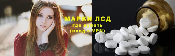 СК Заводоуковск