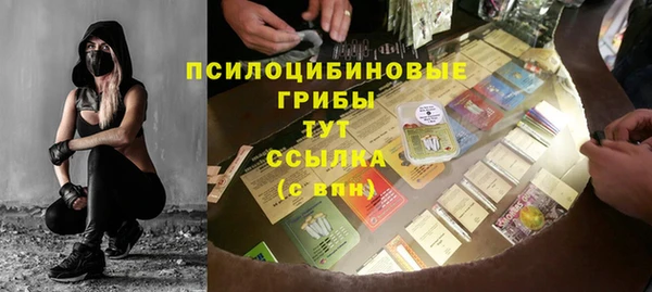 сатива Заволжск