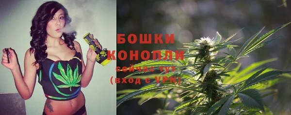 СК Заводоуковск